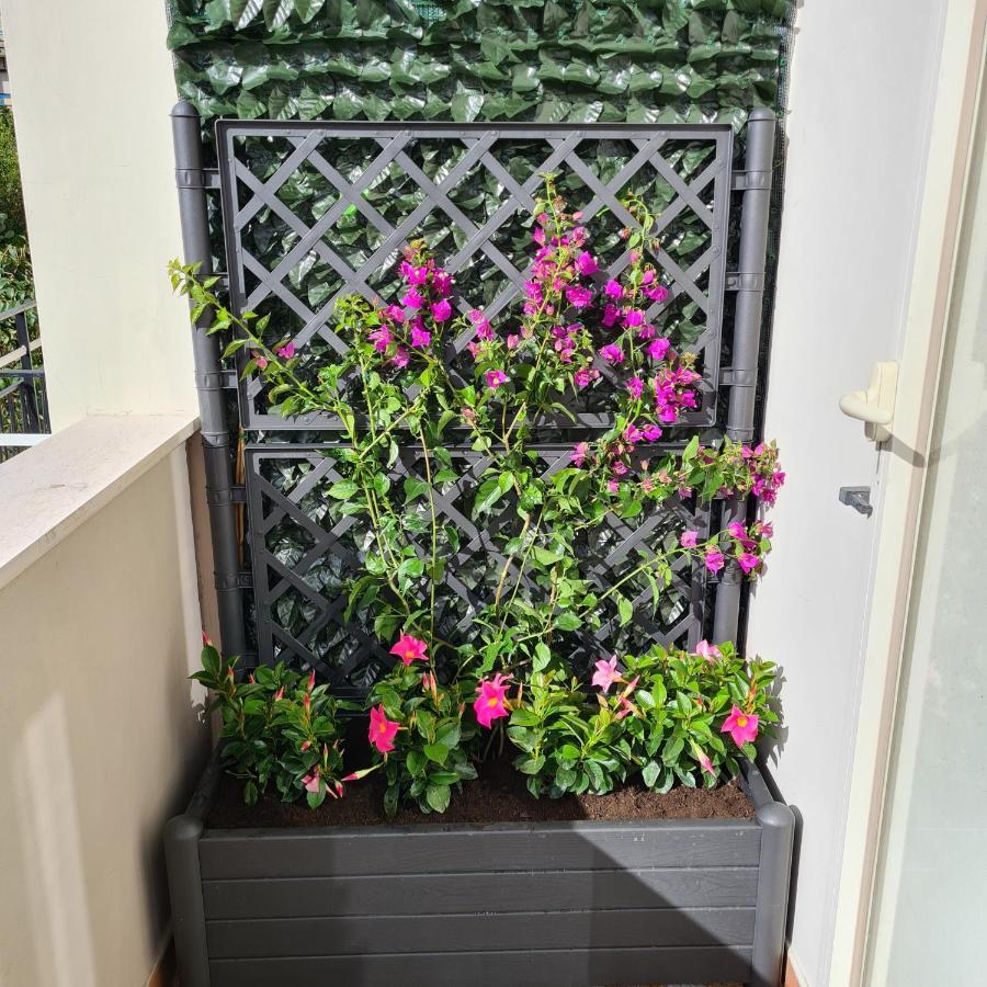 Maison Flavia Sorrento Bagian luar foto